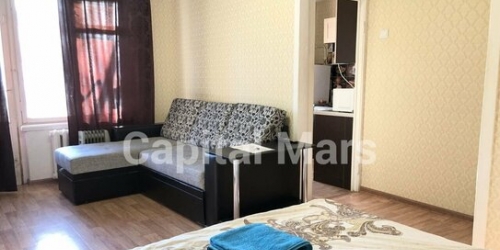 1-комн квартира Кирпичная улица,  д. 12