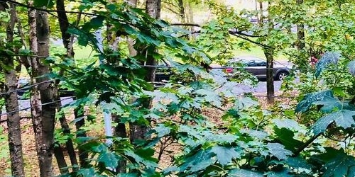 2-комн квартира проспект Тореза, 76