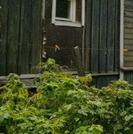 Продажа земли Лахта тер., улица Приморская, 17 Продажа земли Лахта тер., улица Приморская, 17