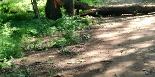 2-комн квартира Сестрорецк, Приморское шоссе, 281