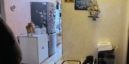 3-комн квартира Светогорск, улица Гарькавого, 8