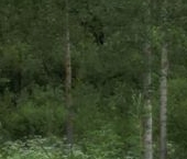 Продать Дачи, коттеджи, загородные дома Маяк СНТ, улица Радужная, 8   