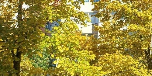 3-комн квартира Красное Село, улица Спирина, 7к1