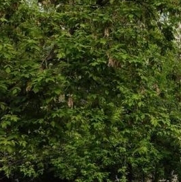 Продажа 1-комн квартиры на вторичном рынке улица Академика Комарова, 14А