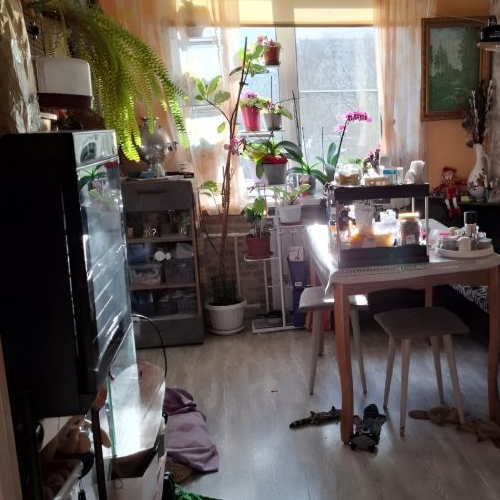 4-комн квартира проспект Косыгина, 30К3