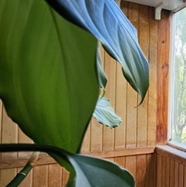 Продажа 3-комн квартиры на вторичном рынке Сертолово, улица Молодцова, 3