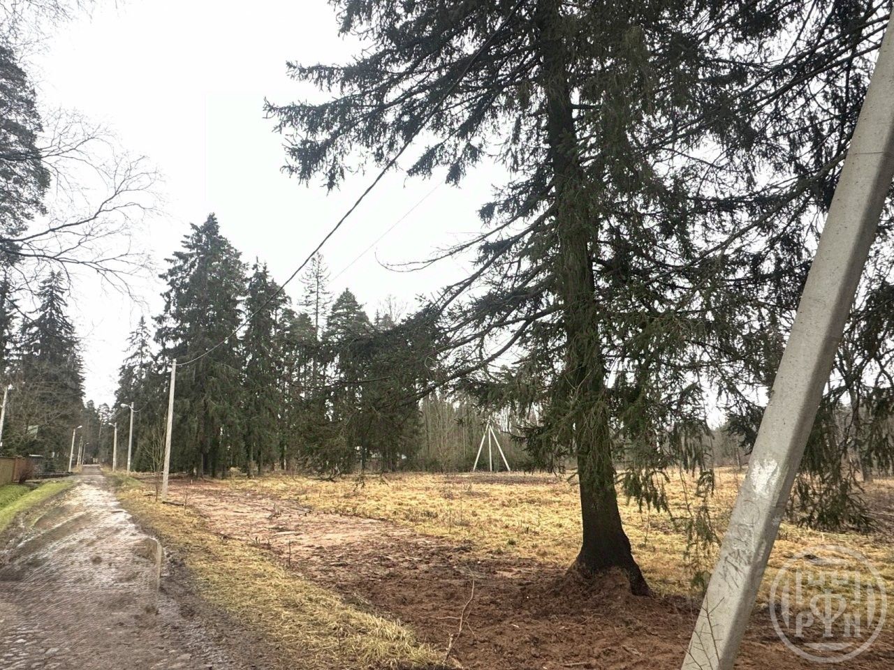Продажа земли Сиверский городской поселок, переулок Оредежский