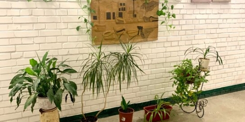 1-комн квартира улица Бадаева,  д. 5