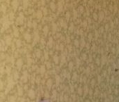 Продать Квартиры вторичка Дунайский проспект, 48К1   