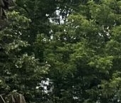 Продать Квартиры вторичка улица Маршала Новикова, 2К1   