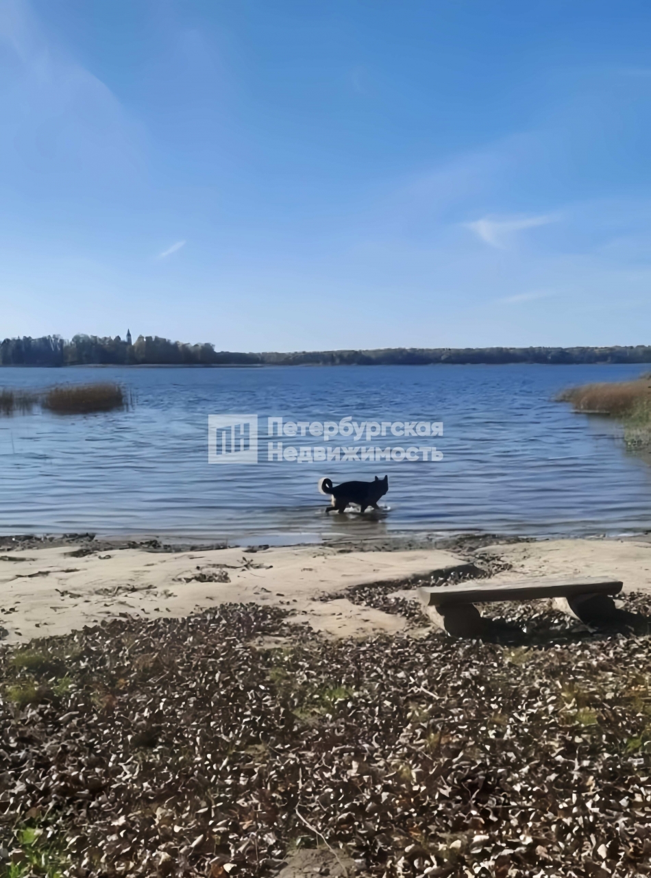 Продажа земли деревня Наволок, деревня Наволок,