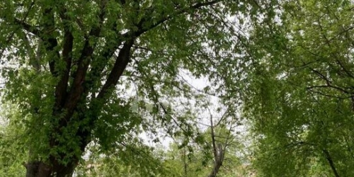 2-комн квартира Капотня 2-й кв-л,  д. 1