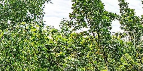 2-комн квартира Ангарская улица, 59