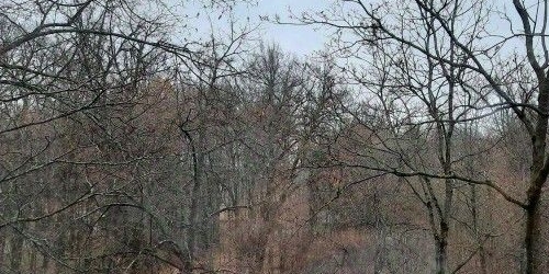 3-комн квартира Пушкин, Павловское шоссе, 23/2