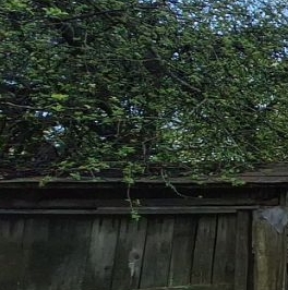 Продажа дома Сестрорецк, улица Малая Горская, 8 Продажа дома Сестрорецк, улица Малая Горская, 8