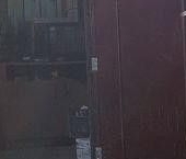 Продать Дачи, коттеджи, загородные дома Ладожское СНТ, 232   