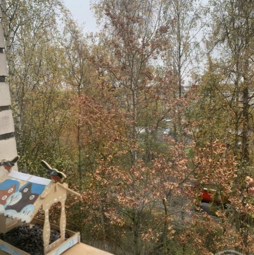 1-комн квартира Пушкин г., Красносельское шос.,  д. 57