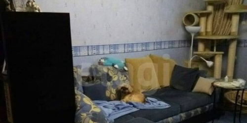 2-комн квартира ул Шолохова,  д. 10