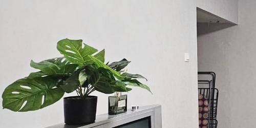 2-комн квартира улица Олеко Дундича, 8К1