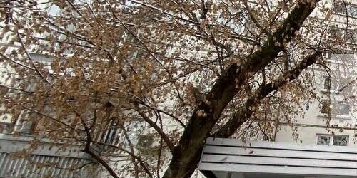 3-комн квартира Олимпийский проспект, 22