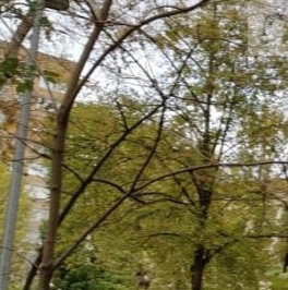 Продажа 3-комн квартиры на вторичном рынке улица Трофимова, 13