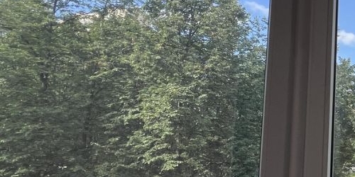 1-комн квартира проспект Непокоренных, 9к1