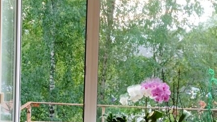 2-комн квартира Пушкин, Артиллерийская улица, 8