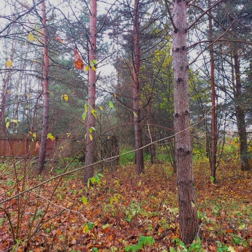 Земельный участок Фёдоровка, Садовая улица,  д. 3