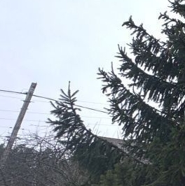 Продажа земли Дубровка пгт, улица Зеленая, 14 Продажа земли Дубровка пгт, улица Зеленая, 14