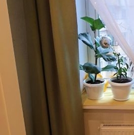 Продажа 1-комн квартиры на вторичном рынке пос. Бугры, улица Школьная, 11к1