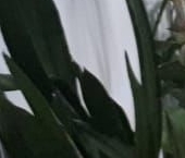 Продать Квартиры вторичка Королев, улица Урицкого, 10   