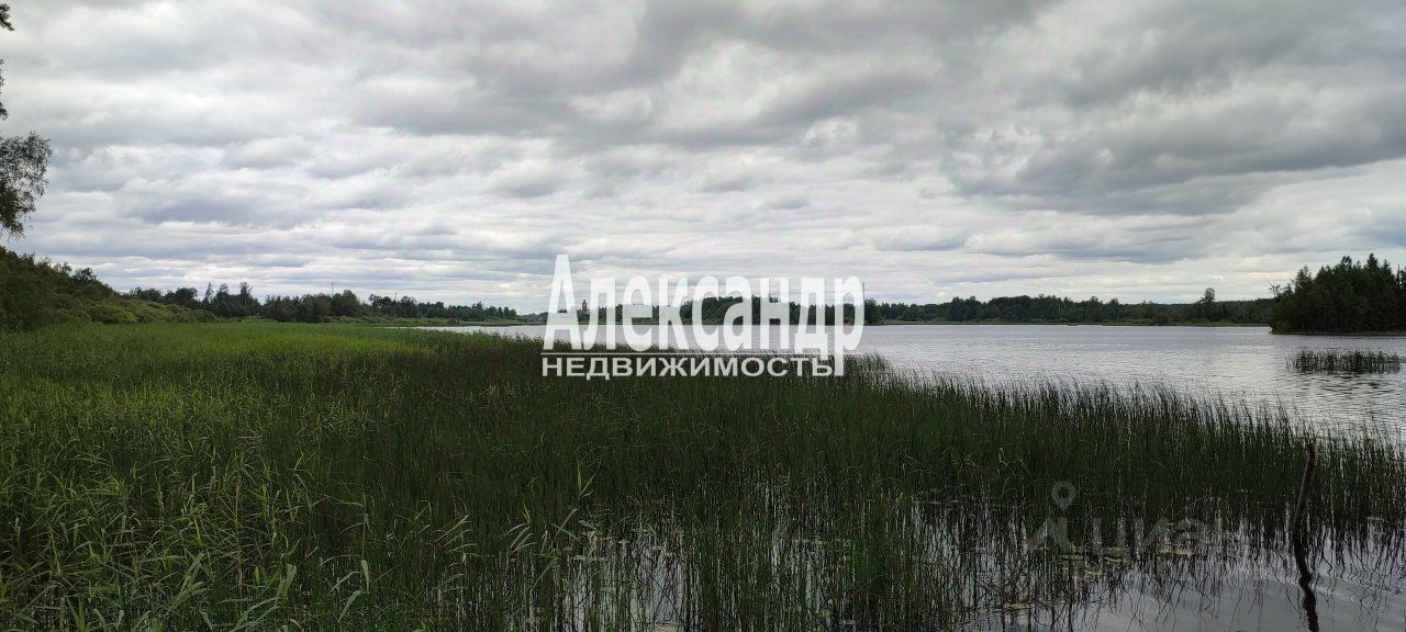 Продажа дома пос. Яровое, улица Яркая, 14