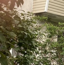 Продажа 3-комн квартиры на вторичном рынке Загорянский пгт, улица Орджоникидзе, 36