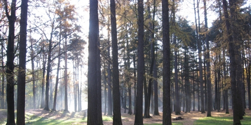 2-комн квартира Вучетича ул ,  д. 19