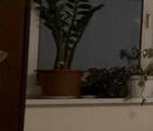 Продать Квартиры вторичка Селигерская улица, 32А   