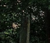 Продать Квартиры вторичка д. Глобицы, улица Героев, 20Б   