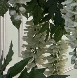 Аренда 3-комн квартиры на вторичном рынке набережная Реки Фонтанки, 126 Аренда 3-комн квартиры на вторичном рынке набережная Реки Фонтанки, 126