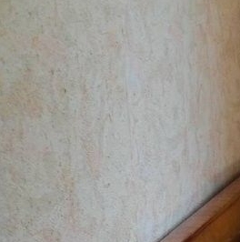 Продажа дома Грибное садоводческий массив, КТС № 3 ЦНИИ имени академика А.Н. Крылова СНТ, улица Синявинская