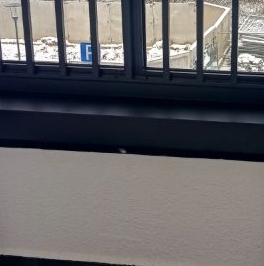 Аренда студии пос. Шушары, Детскосельский тер., шоссе Колпинское, 123 Аренда студии пос. Шушары, Детскосельский тер., шоссе Колпинское, 123