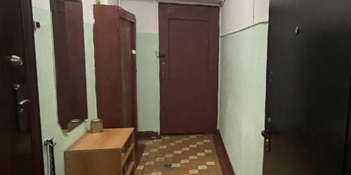 1-комн квартира Зеленый проспект, 52К1