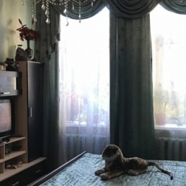 Продажа 6-комн квартиры на вторичном рынке 9-я линия