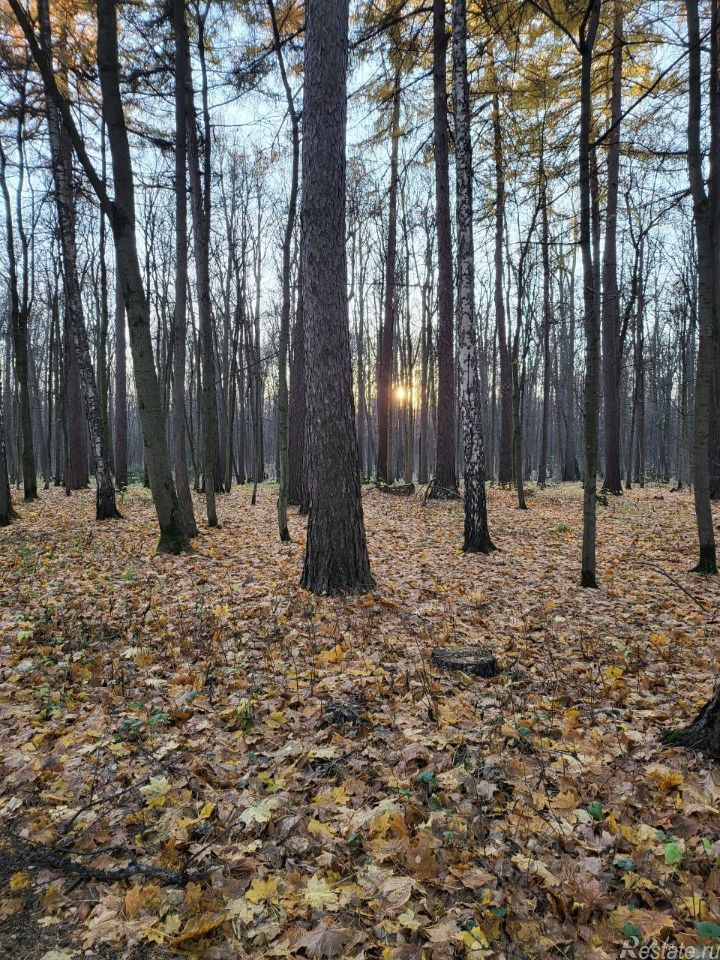 Продажа дома Аносино, Родниковая улица,  д. 6