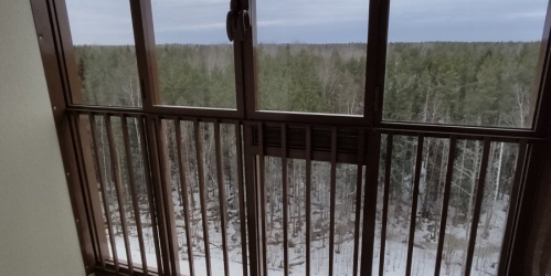 1-комн квартира Ломоносов г., Михайловская ул. ,  д. 51