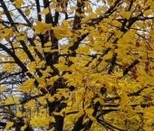 Продать Квартиры вторичка Благодатная улица, 55   