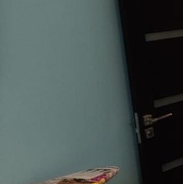 Аренда 2-комн квартиры на вторичном рынке Голландский квартал мкр, Ивантеевка,  д. 4