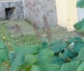 Сдать в аренду Квартиры вторичка улица Маршала Захарова, 30К1   