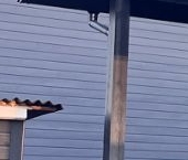 Продать Дачи, коттеджи, загородные дома Экофорест кп, улица Центральная   