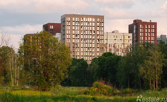 Продажа 1-комн квартиры на вторичном рынке Эдварда Грига ул,  д. 17