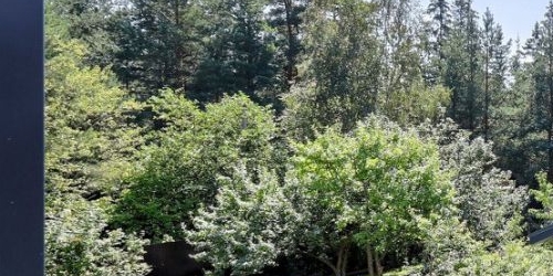 Коттедж/дом пос. Лисий Нос, Большой проспект, 60