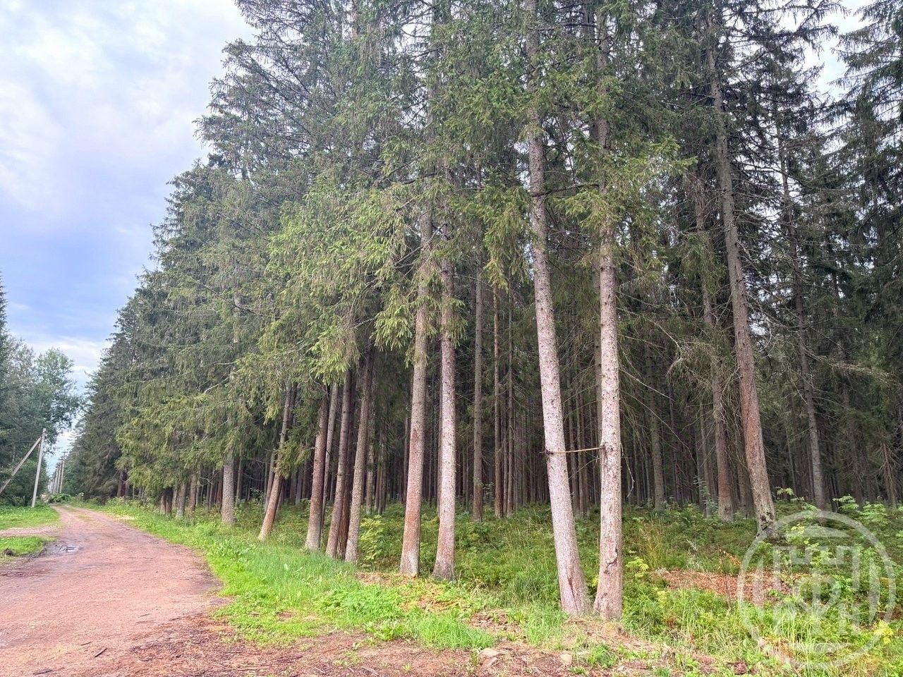 Продажа земли Вырица городской поселок, проспект Мельничный